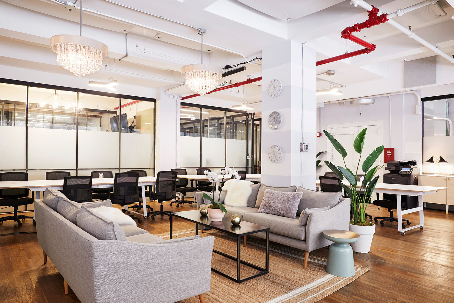 Jornada de puertas abiertas del XII Máster de Edición de Taller de los Libros: 13 de septiembre (sede Madrid) y 15 de septiembre (sede Barcelona)